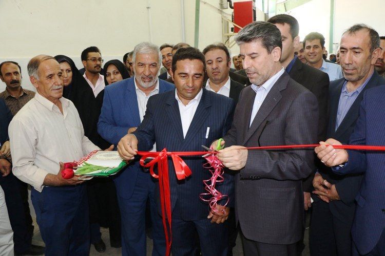 افتتاح طرح زنجیره تولید انواع میوه خشک و کشمش در شهرستان ارومیه