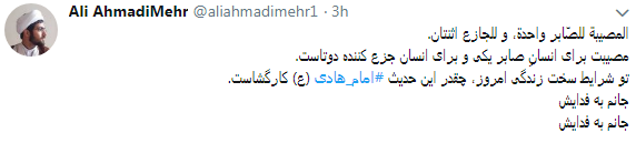 دلنوشته کاربران به مناسبت میلد امام هادی(ع) + تصاویر