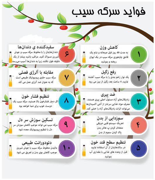 دارویی طبیعی در خانه برای پاکسازی بدن+اینفوگرافی