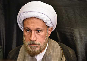 شورا می‌تواند مسائل جامعه را حل کند/باید توان داخلی خود را تقویت کنیم