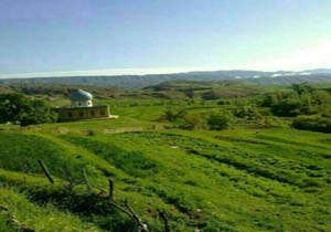 تصاویری از طبیعت سرسبز و بکر در روستای کلم