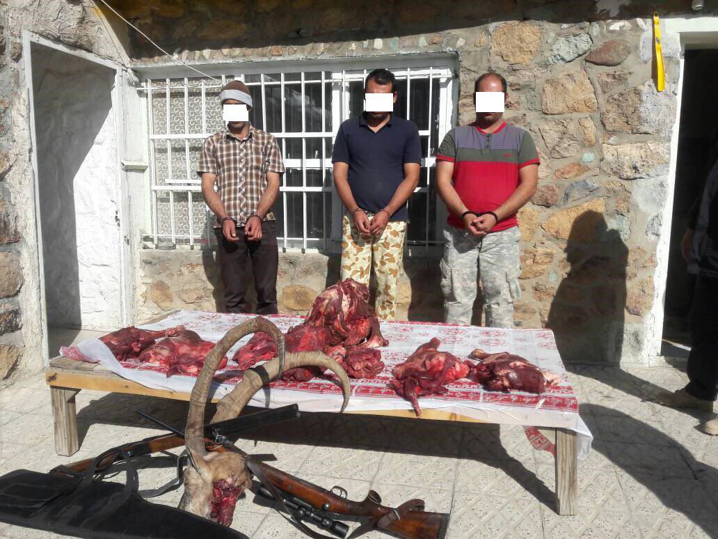 دستگیری ۳ نفر شکارچی غیرمجاز به همراه در پارک ملی لار/ کشف اسلحه و تاکسیدرمی از مخفیگاه متخلفان