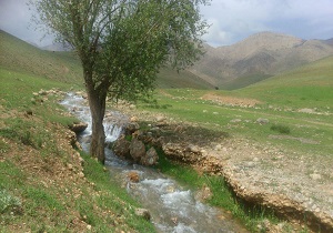 طبیعت سرسبز و زیبای "رنگرزان" + عکس