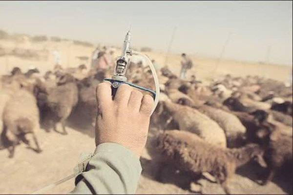 عملیات تست سل در شهرستان گناوه آغاز شد