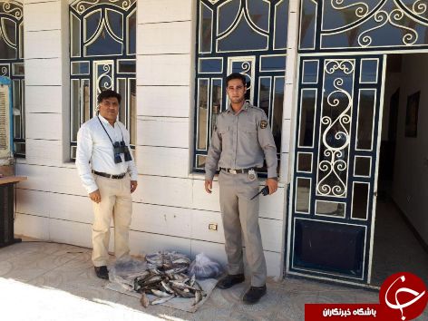 متخلفین صید غیرمجاز ماهی در رومشکان دستگیر شدند