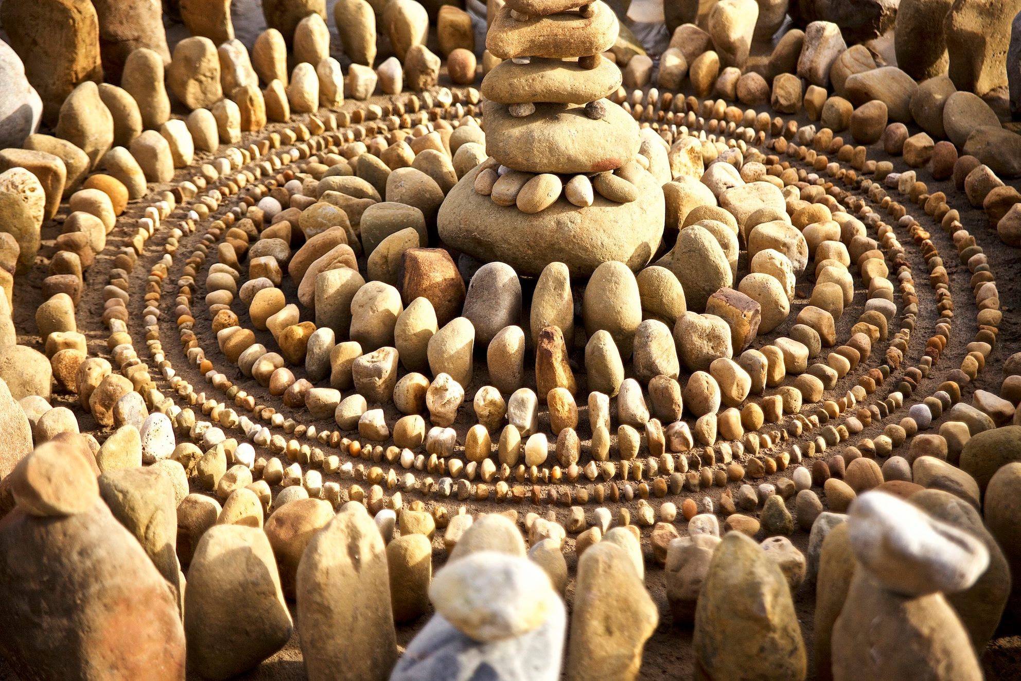 هنرنمایی بسیار زیبا با برگ ها و سنگ ها