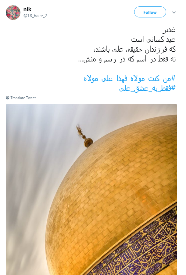 # فقط _به _عشق _علی حاضری چه کار کنی؟
