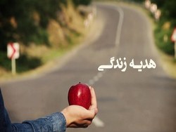 زنی از تبار باران/ صاحب خانه گونی برنج اهدایی و تلویزیون خانه ام را به جای اجاره برد