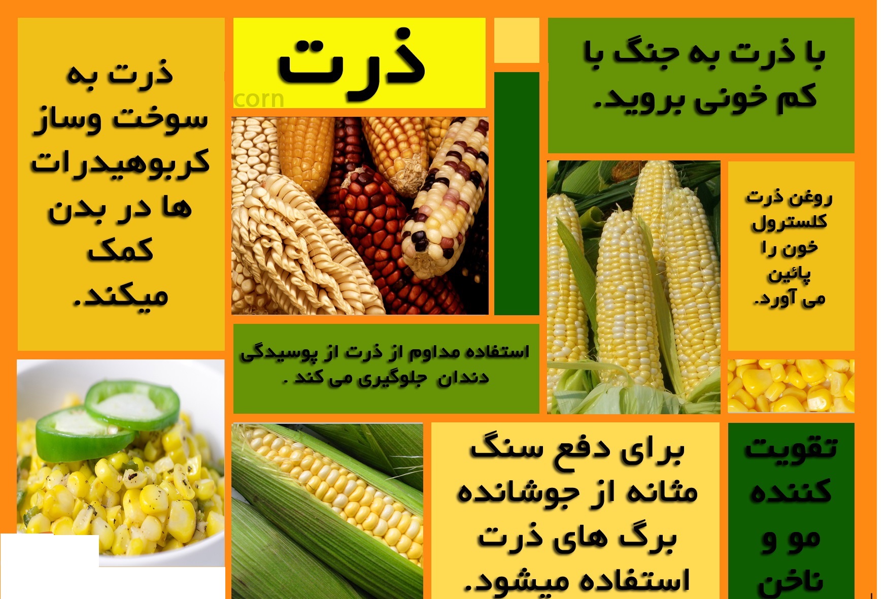 اینفو پنجشنبه///با این گیاه به جنگ کم خونی بروید+اینفوگرافی