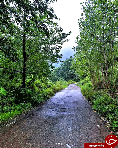 نمایی از طبیعت بکر و دیدنی در روستای گوشکور + تصاویر