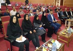 آغاز به&zwnj;کار مجدد فدراسیون اسلامی زنان به&zwnj;زودی