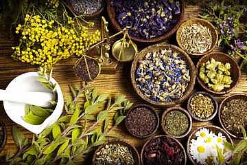 مراکز ناباروری جهاد دانشگاهی؛ سرمایه اجتماعی ارزشمند/ راه اندازی خط تولید ۲ داروی گیاهی در کشور