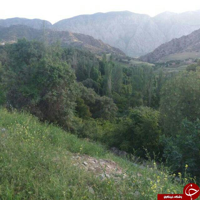 تصاویری از طبیعت زیبای روستای کلم