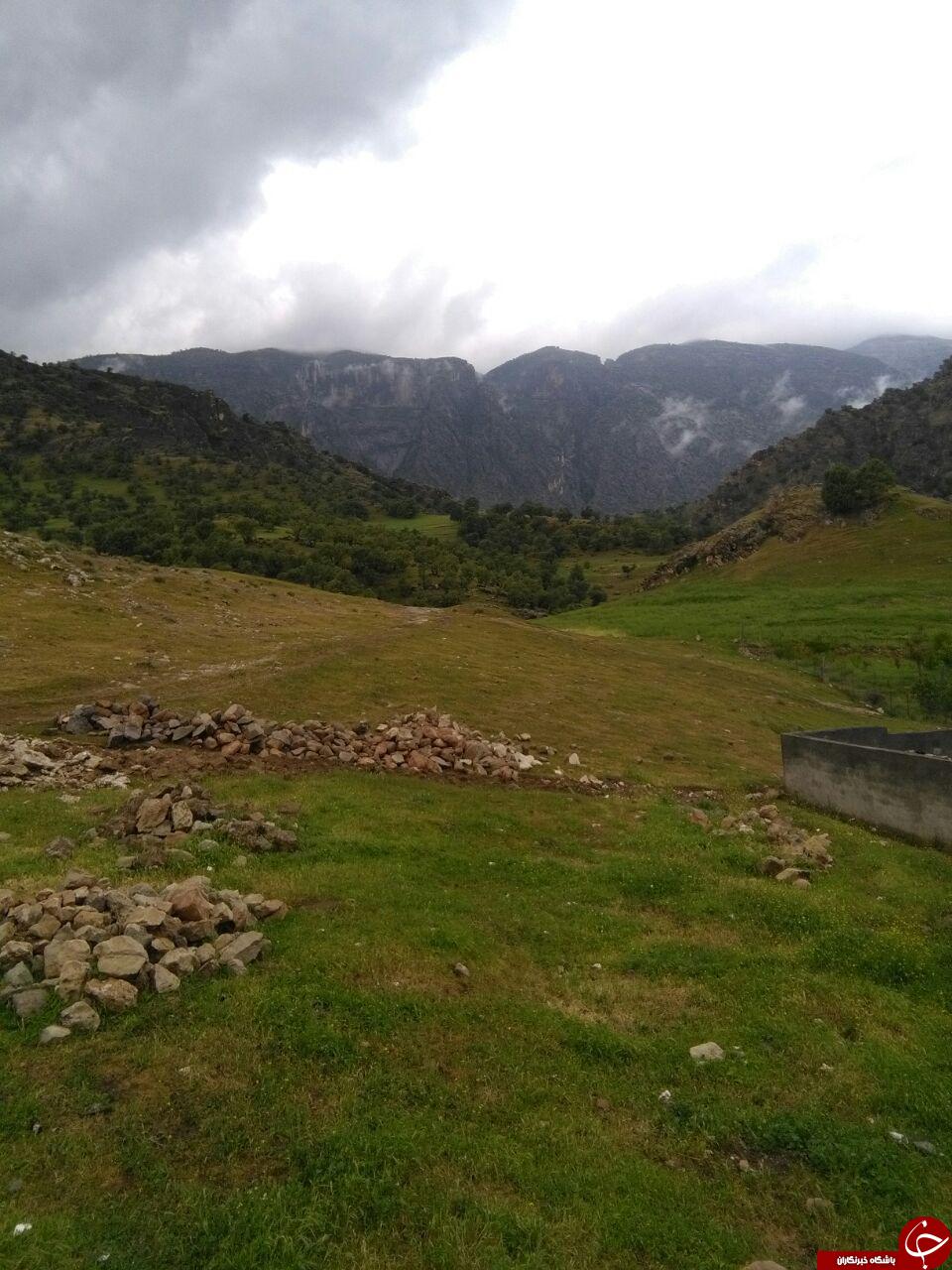 تصاویری از طبیعت زیبای روستای کلم