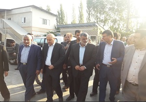 تامین علوفه مورد نیاز دامداران با اختصاص ارز دولتی