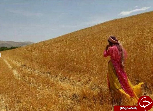جهرمی نوید برپایی  نمایشگاهی از آثار عکاسان 