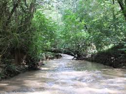 روس آباد کجاست؟
