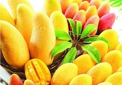 لحظه دیدنی باز شدن تابوت یک فرعون مومیایی شده + فیلم