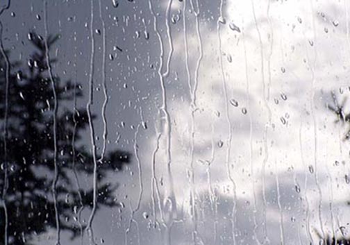 بارش باران برای گلستان
