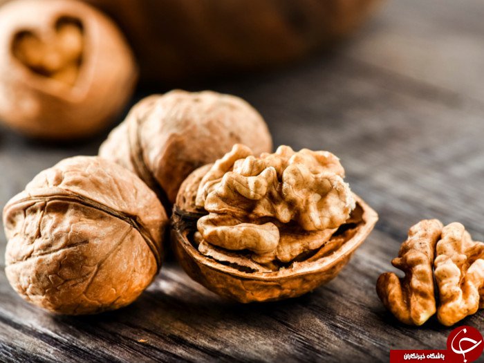 معرفی خواص مختلف گردو در تابستان و زمستان/ اسرارآمیزترین خواص گردو در کلام امام رضا (ع)