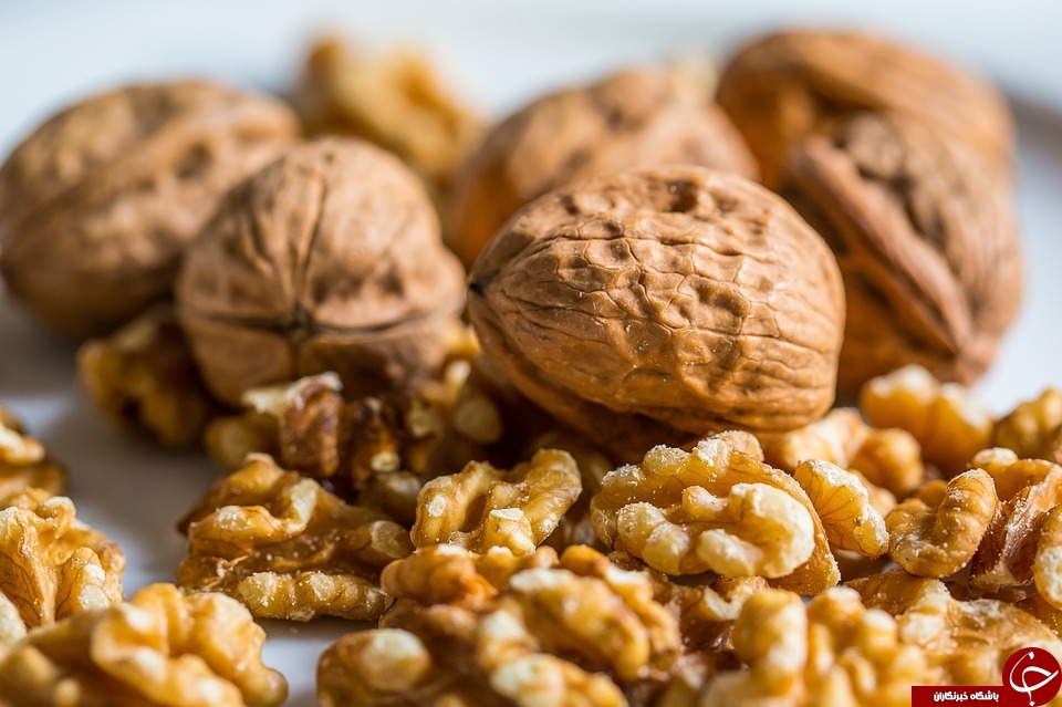 معرفی خواص مختلف گردو در تابستان و زمستان/ اسرارآمیزترین خواص گردو در کلام امام رضا (ع)