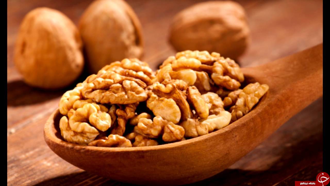 معرفی خواص مختلف گردو در تابستان و زمستان/ اسرارآمیزترین خواص گردو در کلام امام رضا (ع)