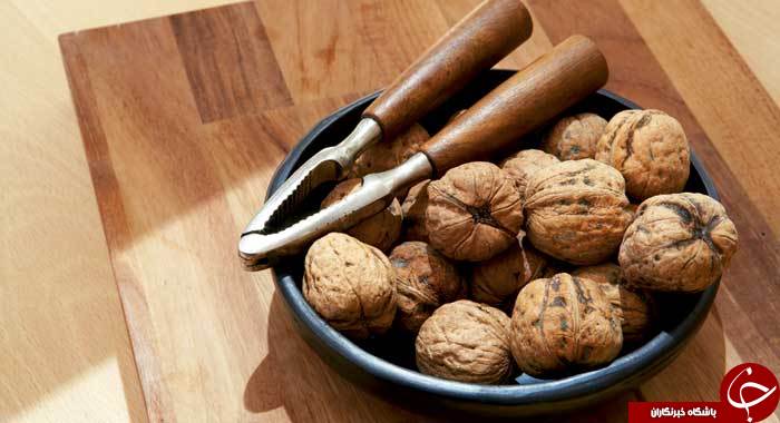 معرفی خواص مختلف گردو در تابستان و زمستان/ اسرارآمیزترین خواص گردو در کلام امام رضا (ع)