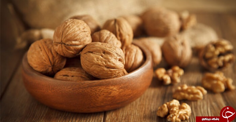 معرفی خواص مختلف گردو در تابستان و زمستان/ اسرارآمیزترین خواص گردو در کلام امام رضا (ع)