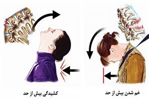 موثربودن مصرف ماست در کاهش احتمال ضخیم شدن دیواره رگ گردنی