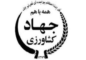 اختصاص بیش از ۶۴۹ هزار و ۴۰۰ هکتار از اراضی کردستان به کشت پاییزه