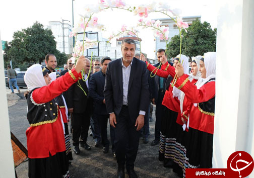 آغاز فصل مهر در مازندران+ تصاویر