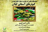 گشایش نمایشگاه عکس کبوترهای آسمانی گیلان در لاهیجان