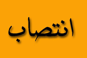 انتصاب رئیس هیئت ورزش‌های رزمی استان ایلام