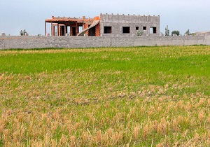 بررسی ۵ پرونده تغییر کاربری اراضی کشاورزی در شهرستان البرز