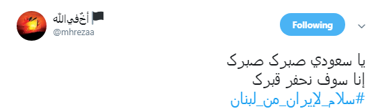 کاربران لبنانی در فضای مجازی برای ایرانی ها سنگ تمام گذاشتند +تصاویر