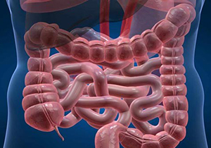 برگ زرینی دیگر در تاریخ پزشکی شیراز با پیشتازی در ایجاد امکان بازتوانی روده