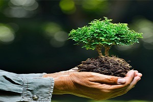 تولید کیسه های دوستدار محیط زیست + فیلم