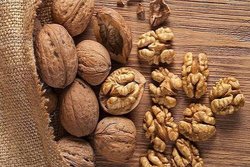 همایش ملی گردو زمینه ای برای توسعه اقتصادی و گردشگری