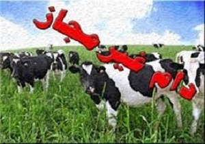 باید به طور جدی از خروج دام به خارج از کشور جلوگیری کنیم