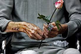 ۵۷ هزار نفر سالمند در کهگیلویه و بویراحمد