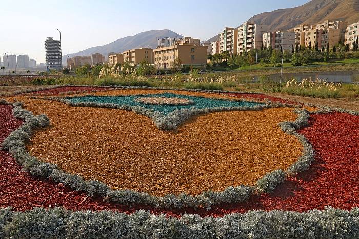 چیپس درختی به جای چمن&zwnj;کاری در تهران + عکس