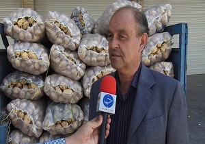 کاهش قیمت گوجه و سیب زمینی در بازار یزد