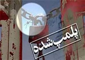 فعالیت شبانه روزی 60 واحد بازرسی در همدان