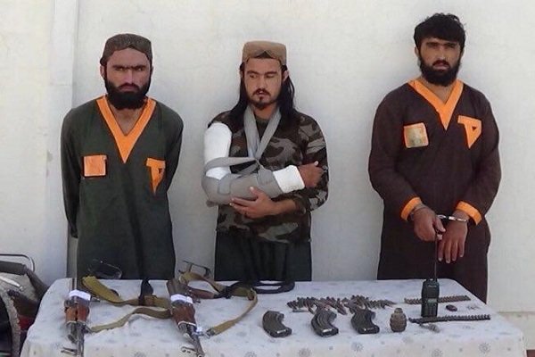 بازداشت مسئول اطلاعاتی شبکه حقانی و دو نفر از همکارانش در پکتیا