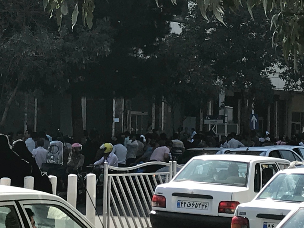 فقط دلال‌ها هستند که خرید و فروش می‌کنند