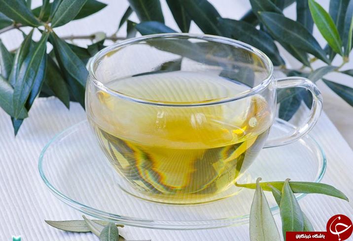 طرز تهیه چای برگ گیاه زیتون +خواص و خطرات