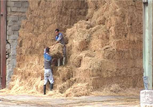 نگاهی گذرا به مهمترین رویدادهای چهارشنبه ۱۱ مهرماه در مازندران نگاهی گذرا به مهمترین رویدادهای چهارشنبه ۱۱ مهرماه در مازندران