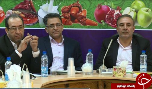 نبود صنایع بسته بندی و تبدیلی در لرستان / حمل و نقل نهال به استان اصولی انجام نمی شود