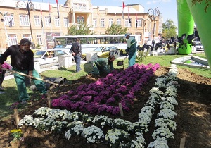 کاشت ۵۰ هزاز بوته گل پاییزی در فضای شهر ارومیه