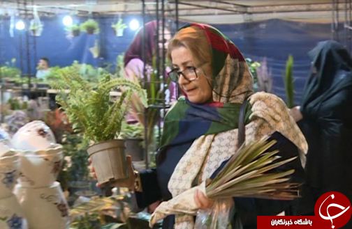نمایشگاه گل و گیاه در لرستان + تصاویر